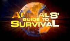 Animals' Guide to Survival, The