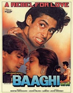 Baaghi: A Rebel for Love