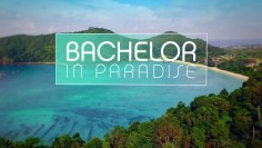 Bachelor in Paradise