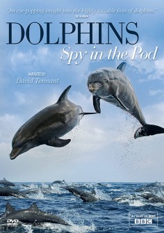 Delfíny: podmorská špionáž