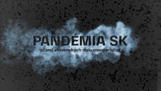 Pandémia SK