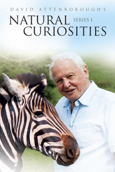 Prírodné kuriozity Davida Attenborougha
