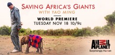 Saving Africa's Giants with Yao Ming