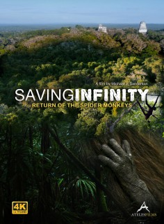 Saving Infinity: Return of the Spider Monkeys