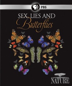 Sex, lži & motýli