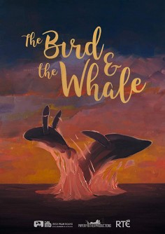 The Bird & The Whale