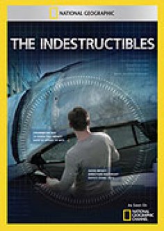 The Indestructibles