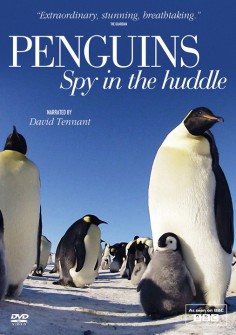Tučniaky - špióni v dave
