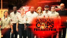 Veterinární policie: Filadelfie